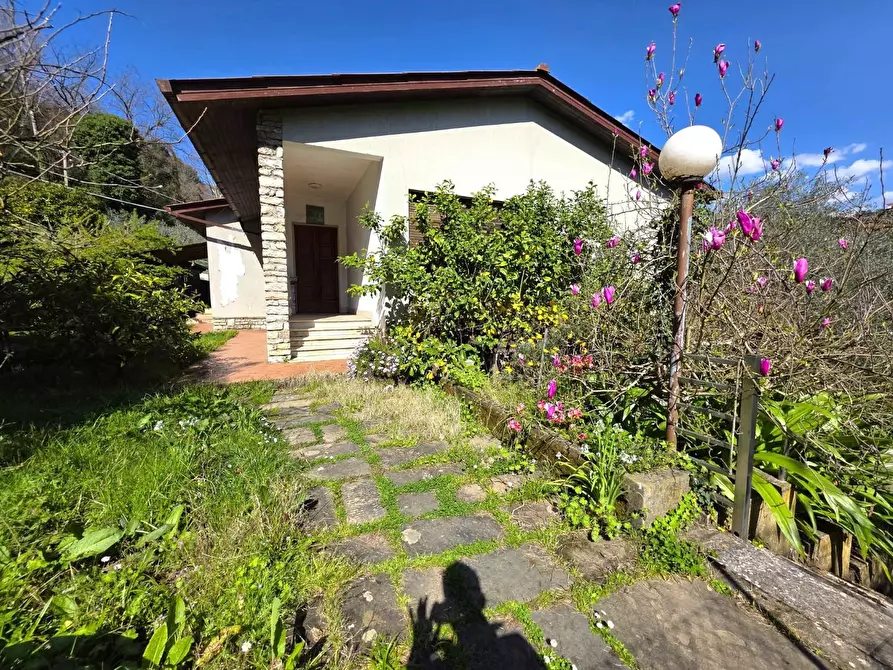 Immagine 2 di Villa in vendita  a Massa
