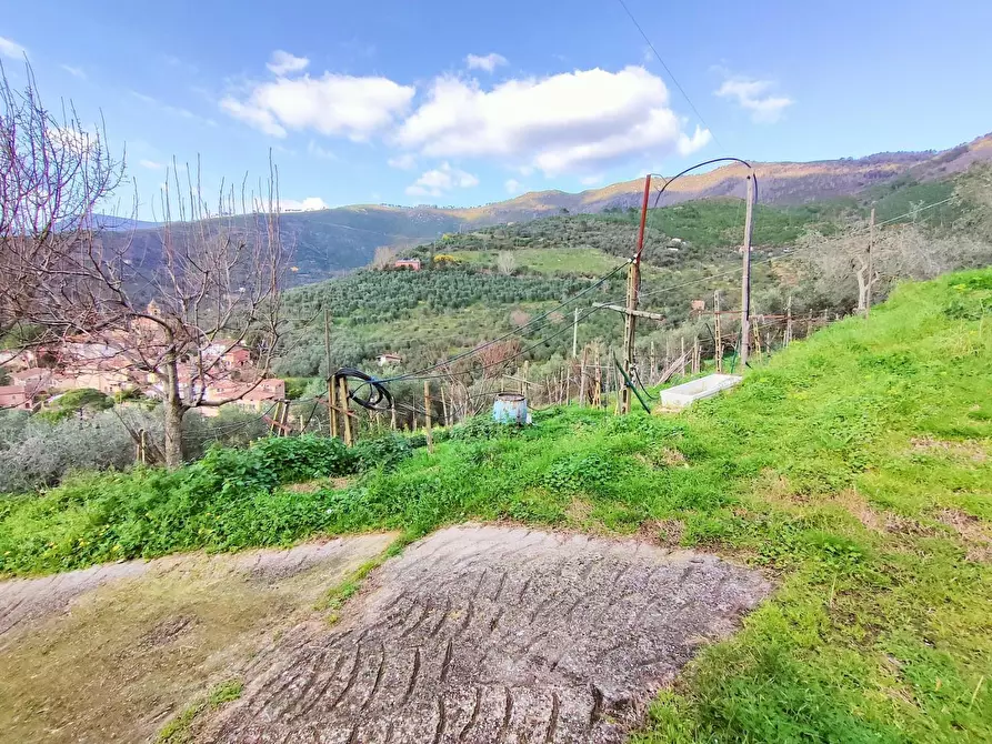 Immagine 13 di Terratetto in vendita  a Calci