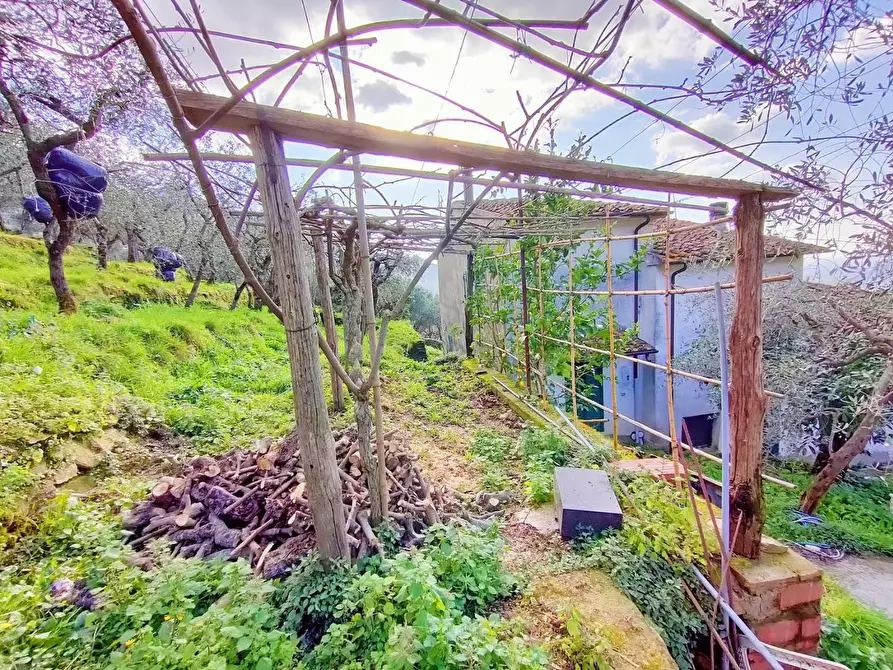 Immagine 11 di Terratetto in vendita  a Calci