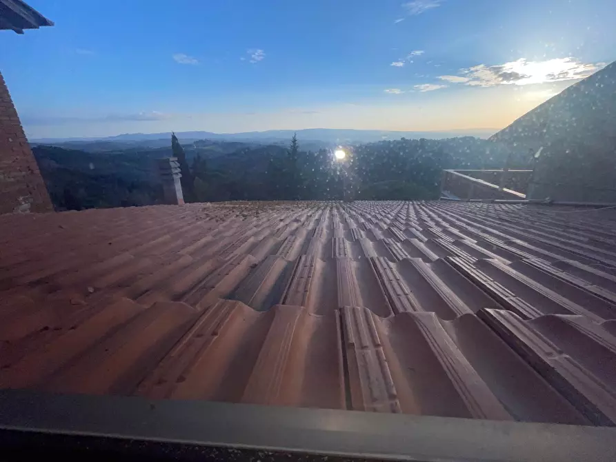 Immagine 19 di Appartamento in vendita  a Palaia