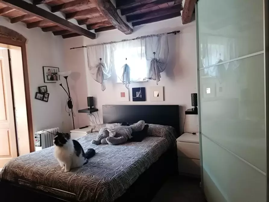 Immagine 6 di Appartamento in vendita  a Carrara