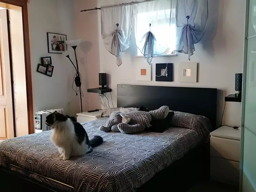 Immagine 7 di Appartamento in vendita  a Carrara