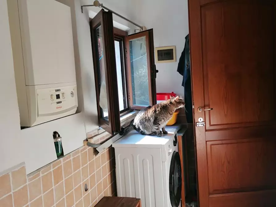 Immagine 8 di Appartamento in vendita  a Carrara