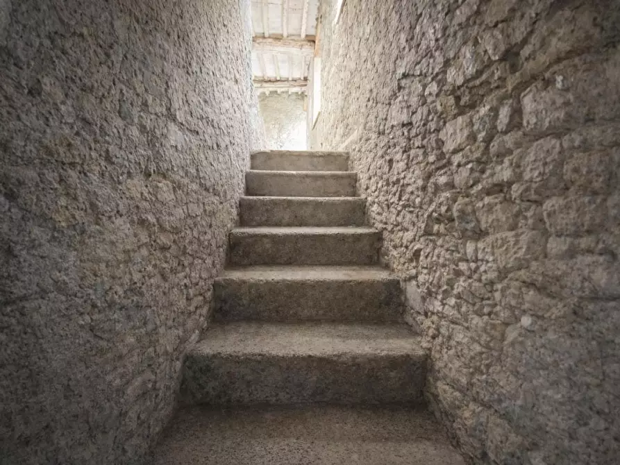 Immagine 12 di Terratetto in vendita  a Capannori