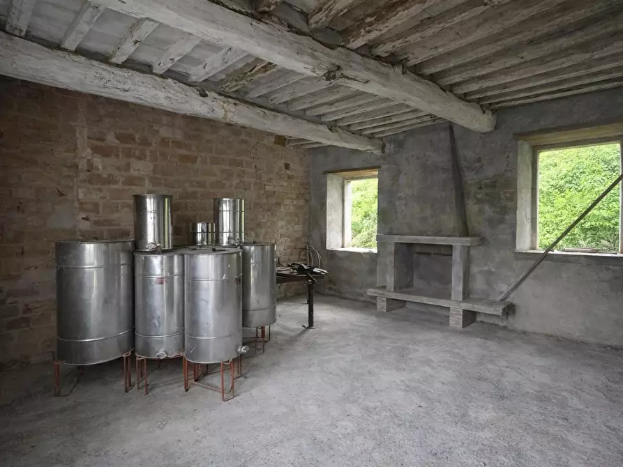 Immagine 3 di Terratetto in vendita  a Capannori