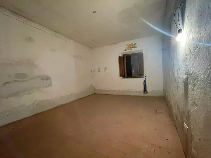 Immagine 7 di Appartamento in vendita  a Palaia