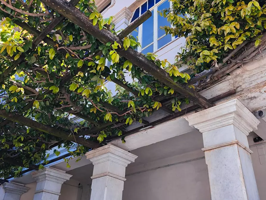 Immagine 76 di Villa in vendita  a Carrara