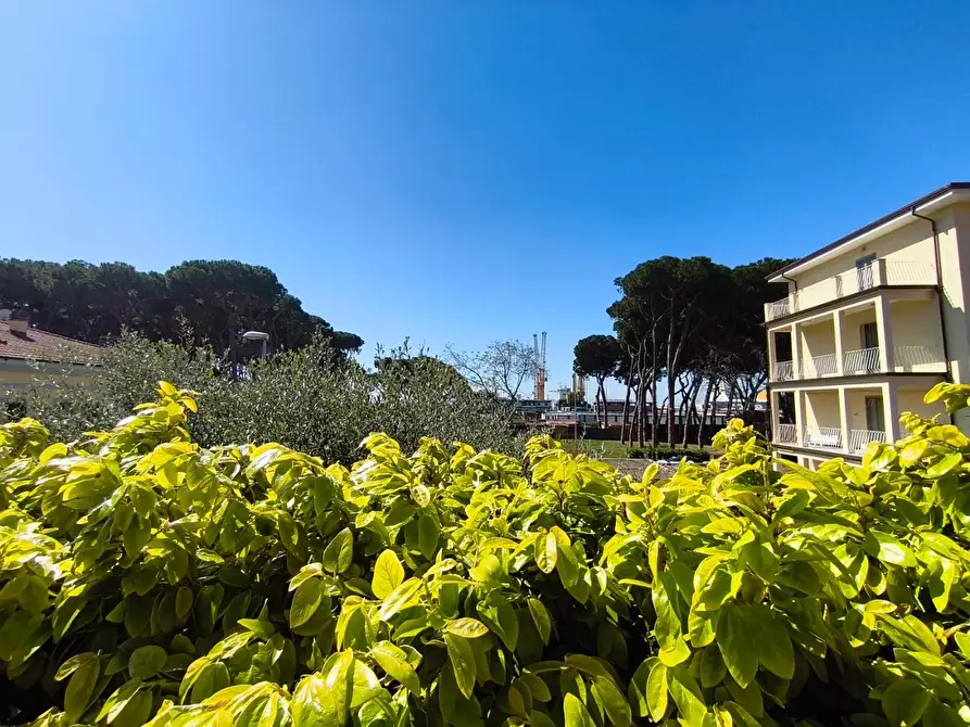 Immagine 60 di Villa in vendita  a Carrara