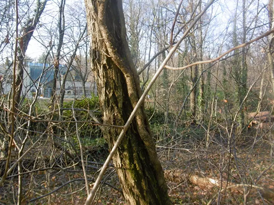 Immagine 56 di Villa in vendita  a Nosate