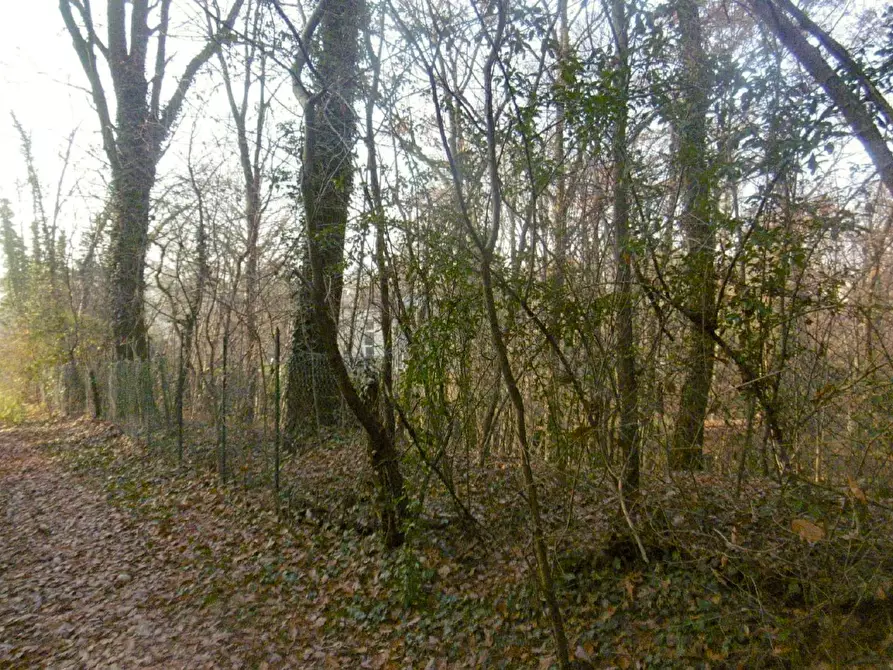 Immagine 57 di Villa in vendita  a Nosate