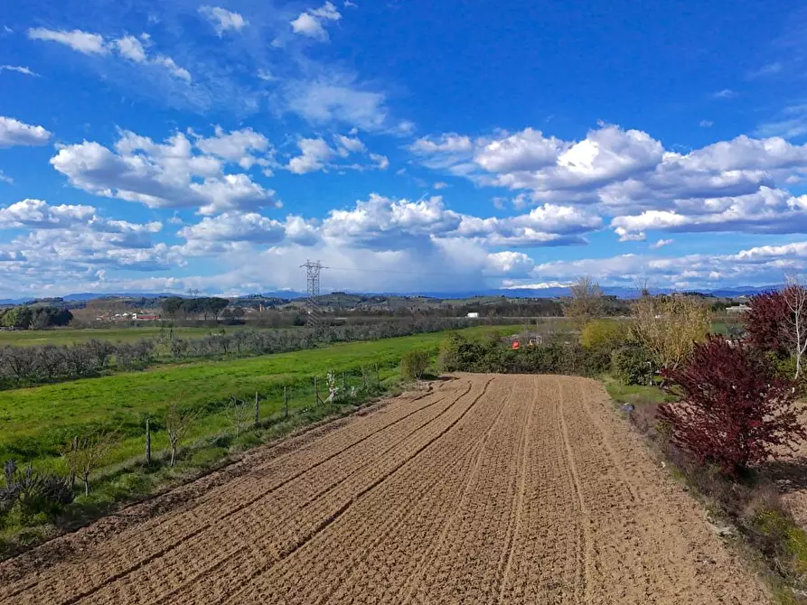 Immagine 1 di Terreno agricolo in vendita  a San Miniato