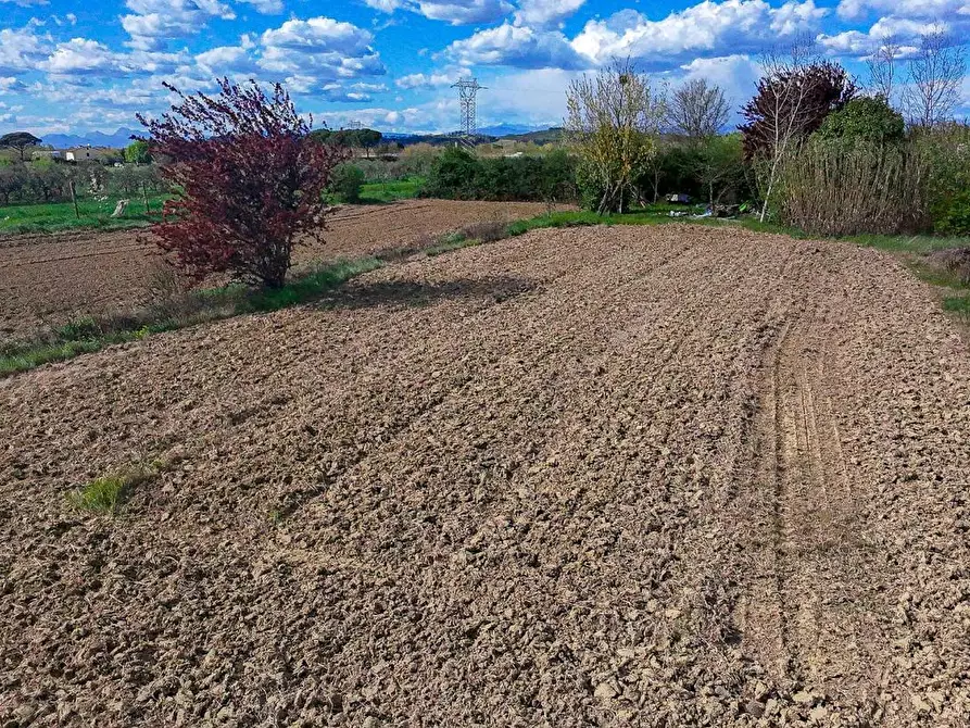 Immagine 5 di Terreno agricolo in vendita  a San Miniato