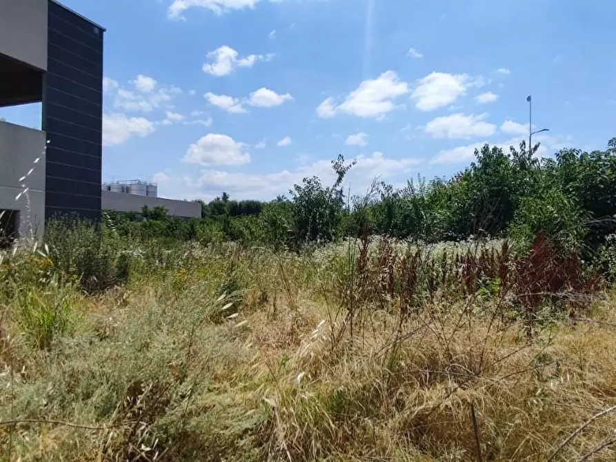 Immagine 2 di Capannone industriale in vendita  a Rivanazzano
