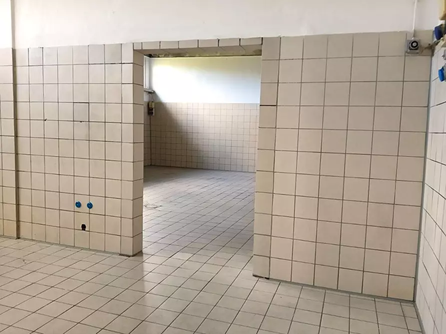 Immagine 11 di Laboratorio in affitto  a San Giuliano Terme