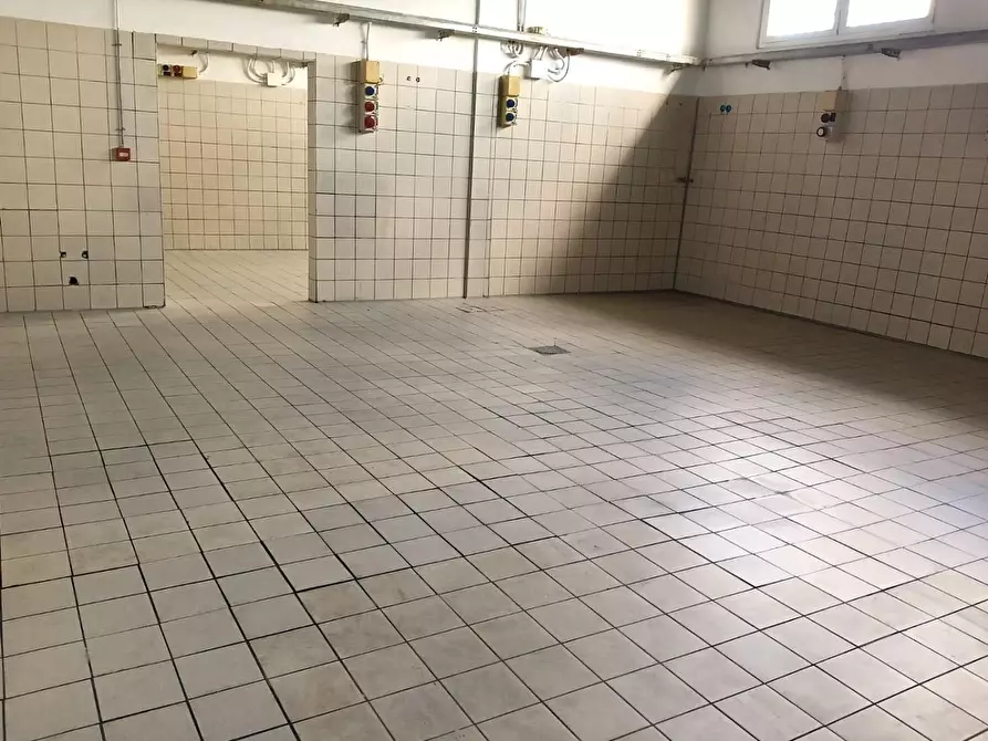 Immagine 8 di Laboratorio in affitto  a San Giuliano Terme