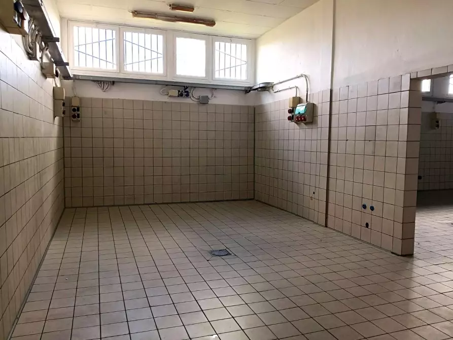 Immagine 2 di Laboratorio in affitto  a San Giuliano Terme