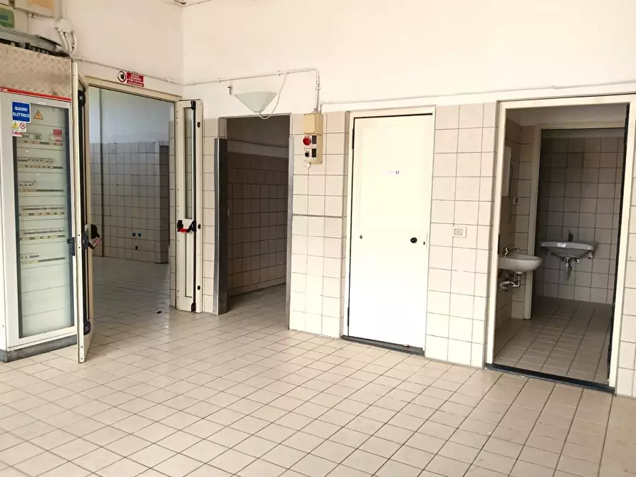 Immagine 5 di Laboratorio in affitto  a San Giuliano Terme