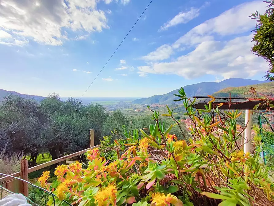 Immagine 3 di Terratetto in vendita  a Calci