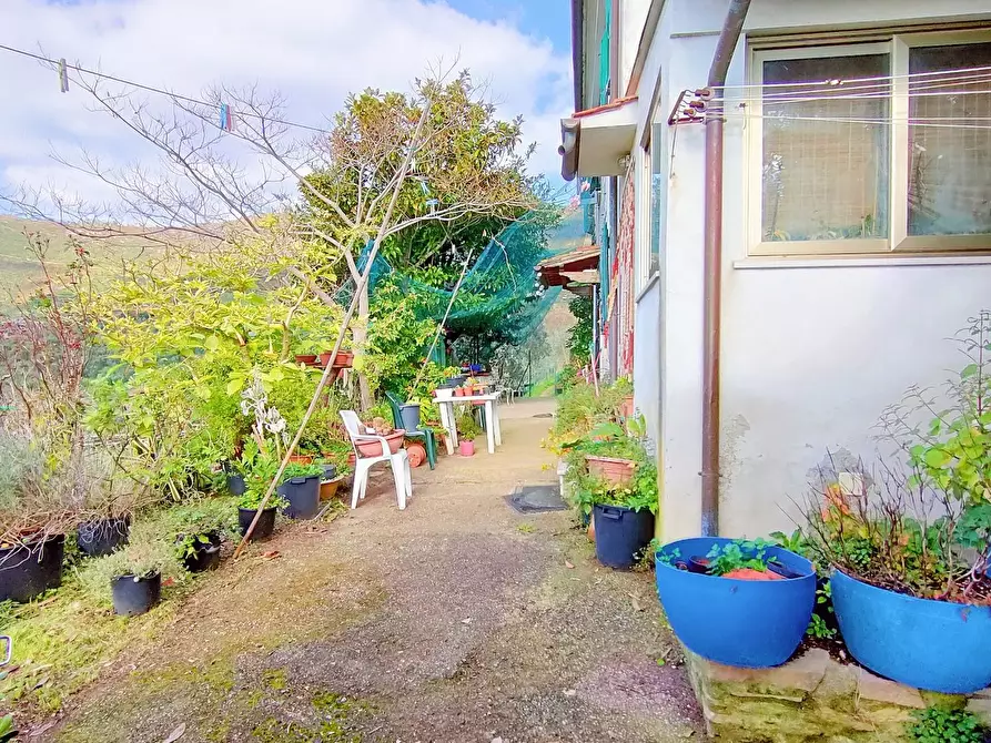 Immagine 31 di Terratetto in vendita  a Calci