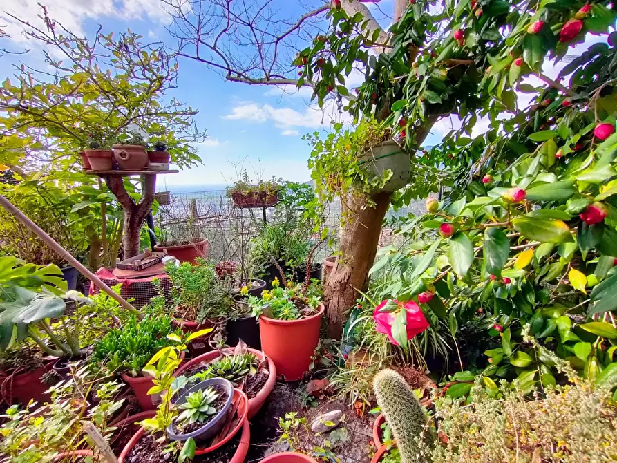 Immagine 2 di Terratetto in vendita  a Calci