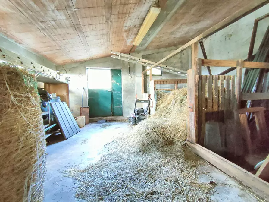 Immagine 28 di Terratetto in vendita  a Calci