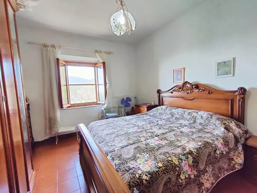 Immagine 19 di Terratetto in vendita  a Calci