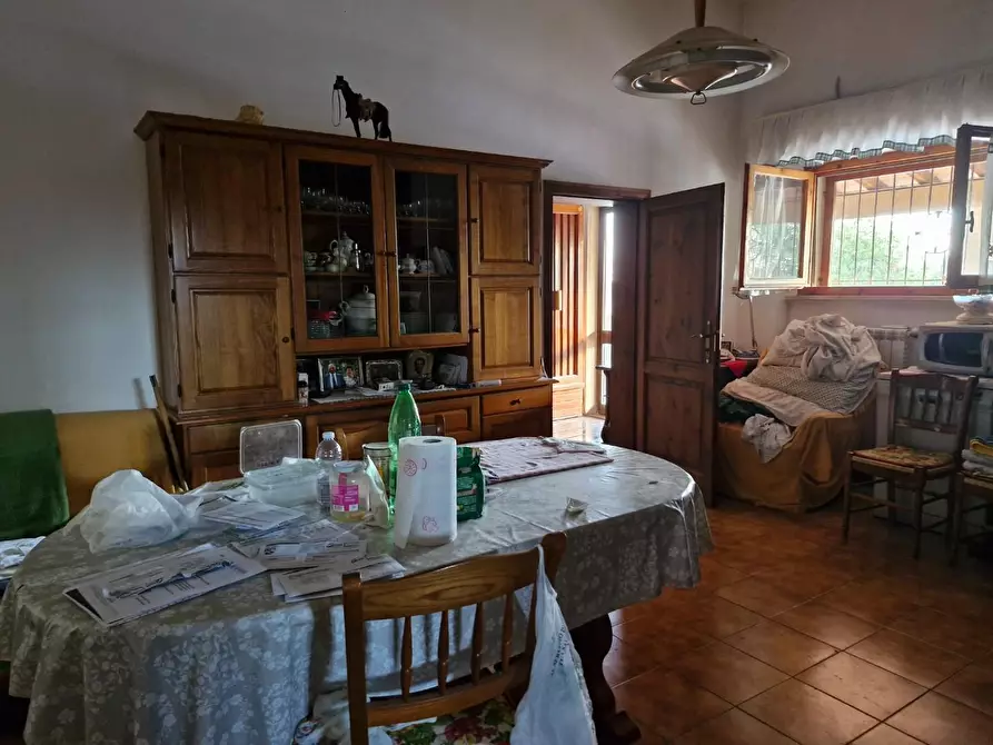 Immagine 31 di Casa colonica in vendita  a Campiglia Marittima