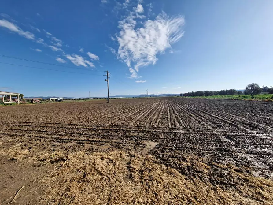 Immagine 66 di Casa colonica in vendita  a Campiglia Marittima