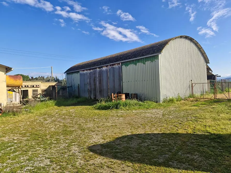 Immagine 73 di Casa colonica in vendita  a Campiglia Marittima