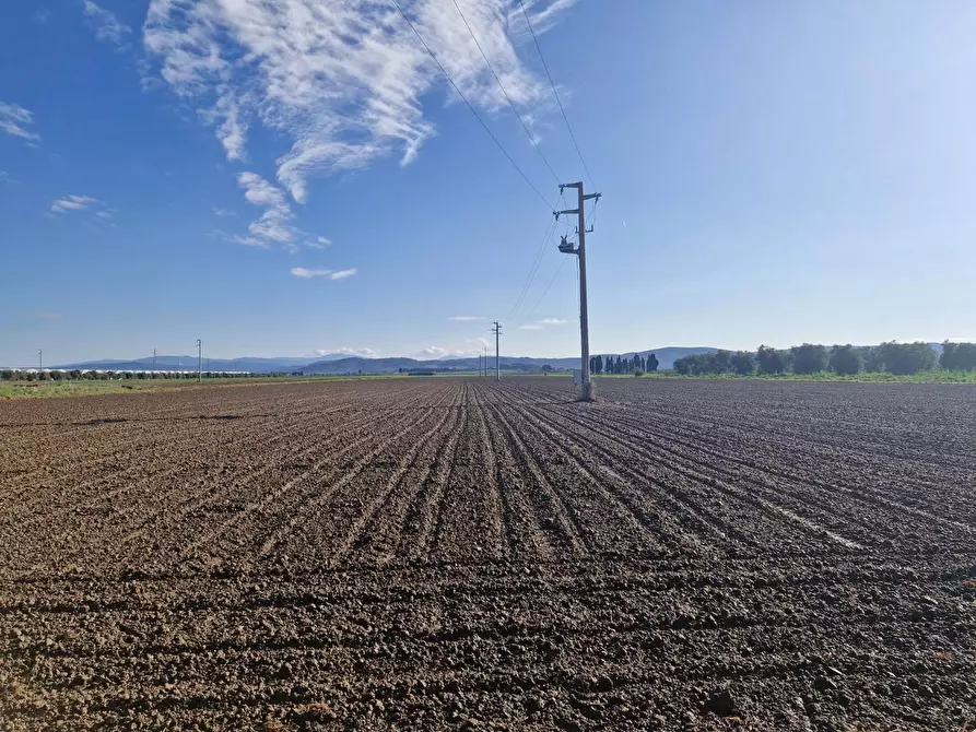 Immagine 70 di Casa colonica in vendita  a Campiglia Marittima