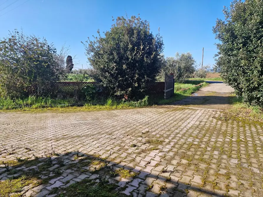 Immagine 60 di Casa colonica in vendita  a Campiglia Marittima