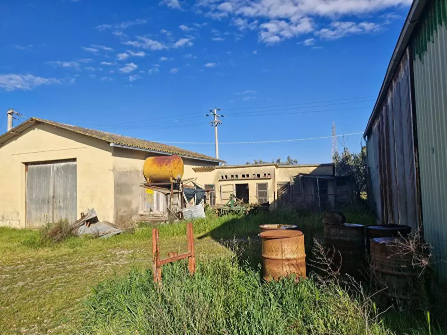 Immagine 71 di Casa colonica in vendita  a Campiglia Marittima