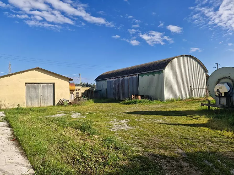 Immagine 61 di Casa colonica in vendita  a Campiglia Marittima