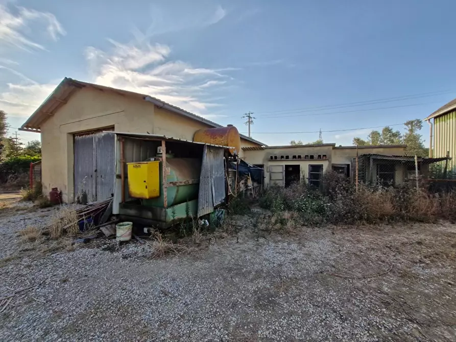 Immagine 15 di Casa colonica in vendita  a Campiglia Marittima