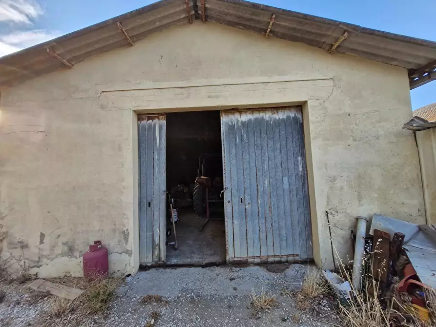 Immagine 22 di Casa colonica in vendita  a Campiglia Marittima