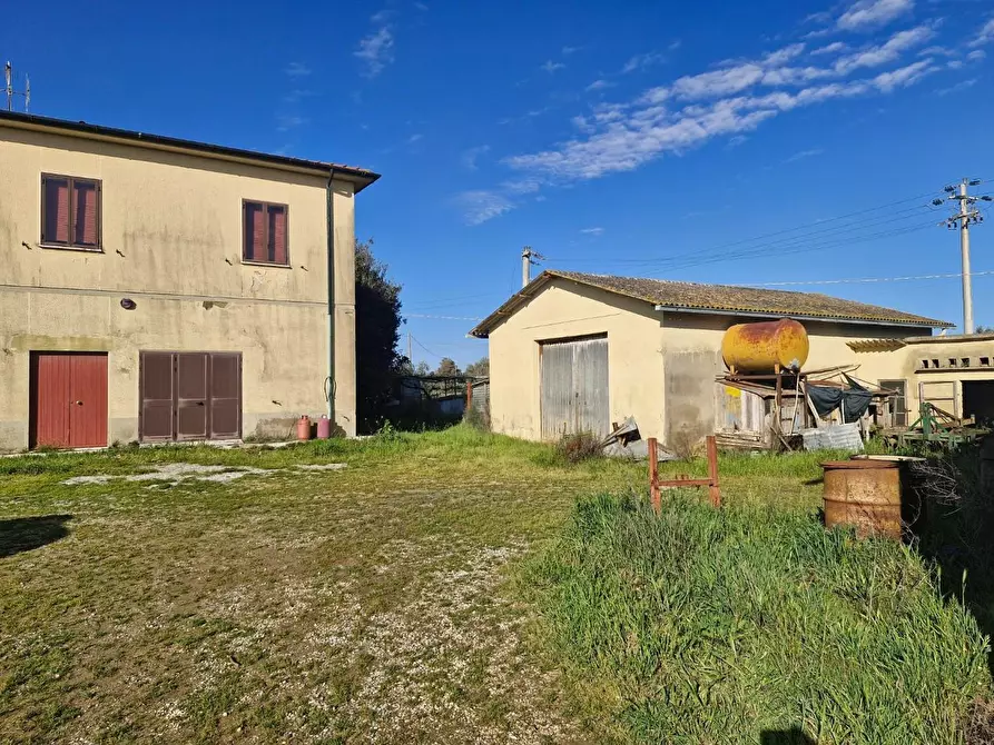 Immagine 64 di Casa colonica in vendita  a Campiglia Marittima
