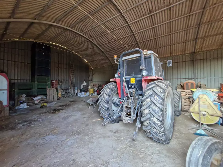 Immagine 17 di Casa colonica in vendita  a Campiglia Marittima