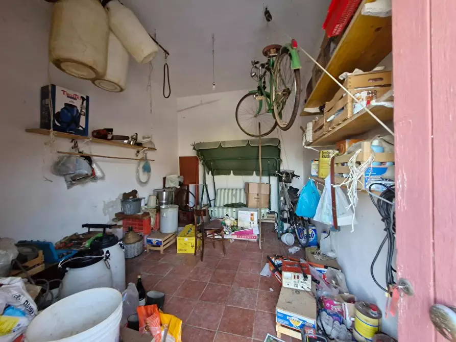 Immagine 24 di Casa colonica in vendita  a Campiglia Marittima