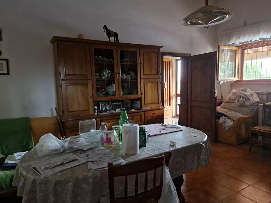 Immagine 30 di Casa colonica in vendita  a Campiglia Marittima
