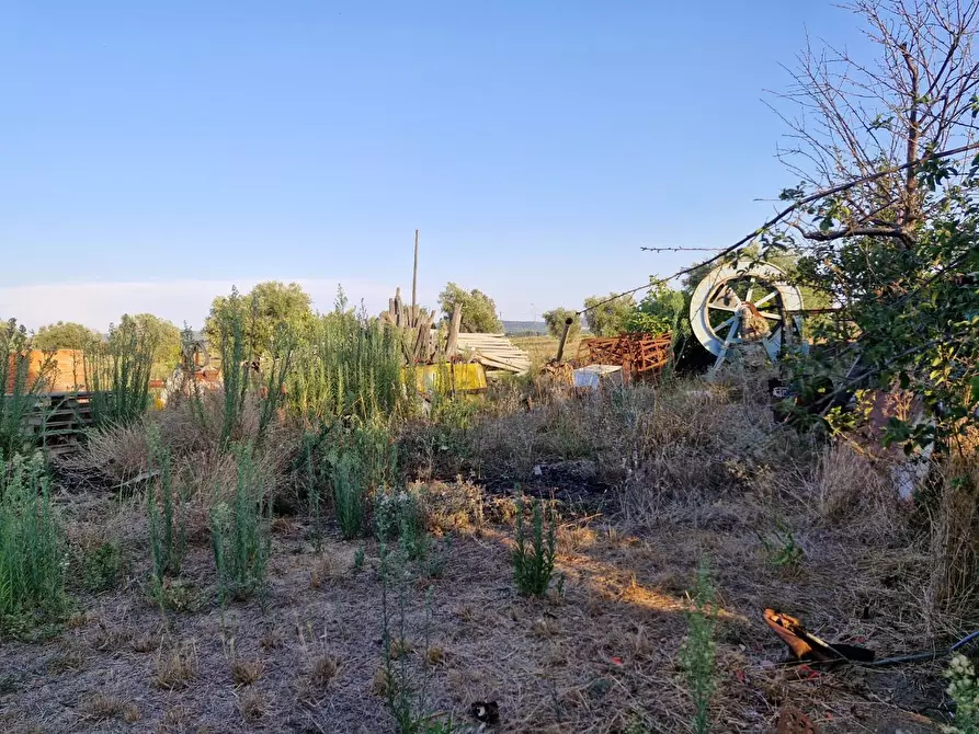 Immagine 10 di Casa colonica in vendita  a Campiglia Marittima
