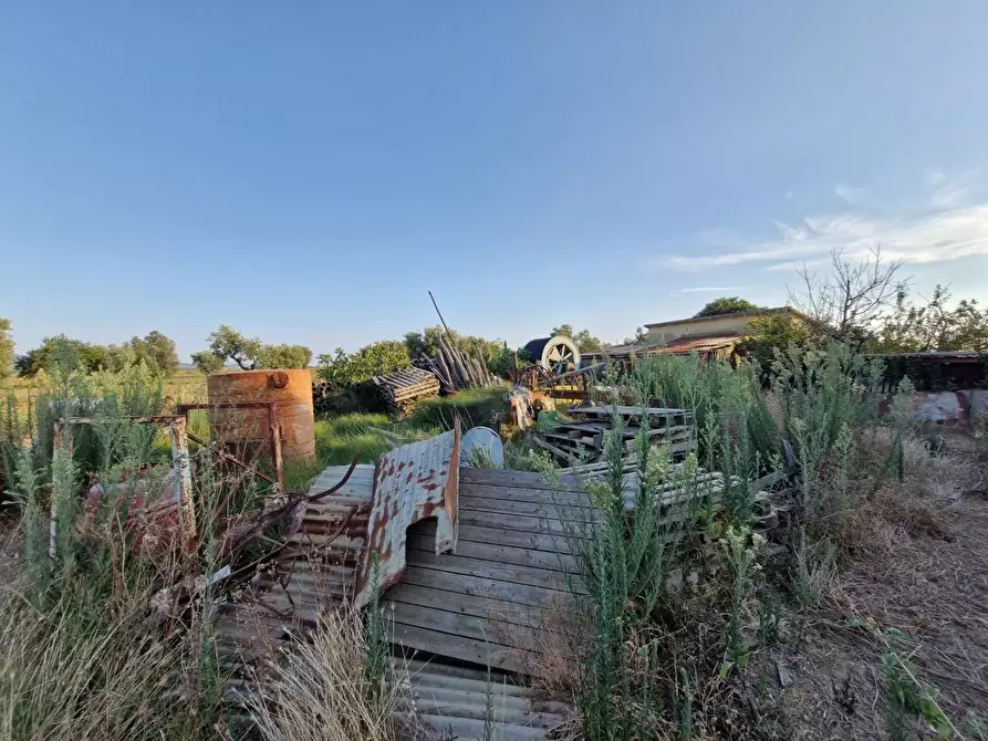 Immagine 14 di Casa colonica in vendita  a Campiglia Marittima