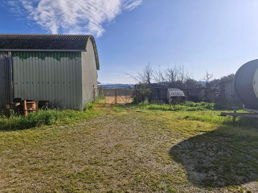 Immagine 62 di Casa colonica in vendita  a Campiglia Marittima