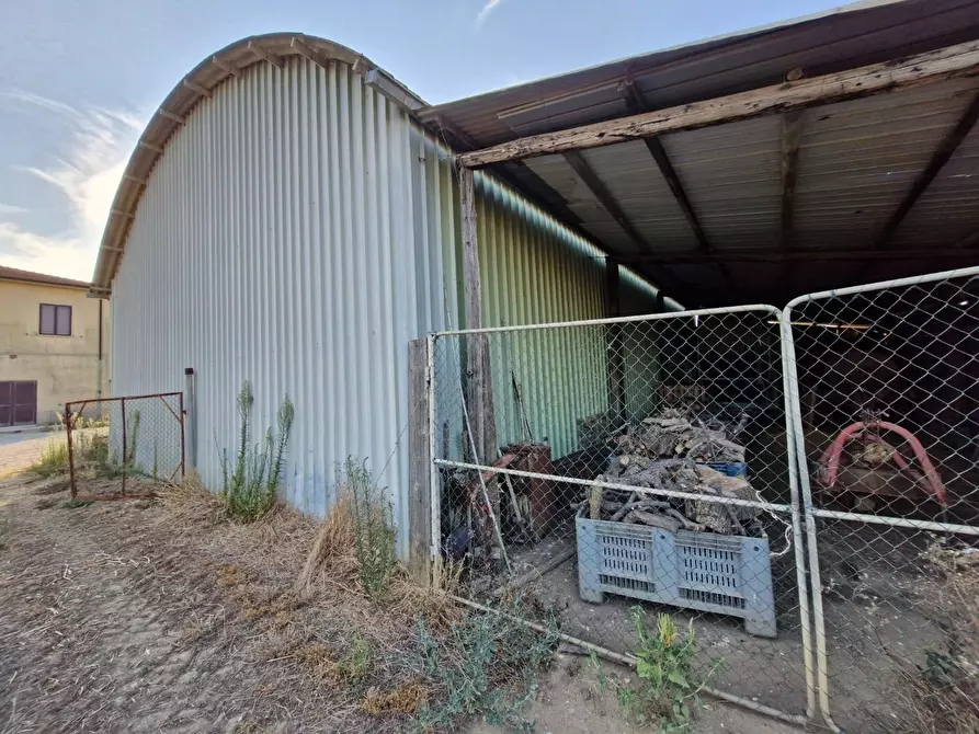 Immagine 12 di Casa colonica in vendita  a Campiglia Marittima