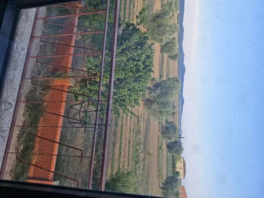 Immagine 39 di Casa colonica in vendita  a Campiglia Marittima