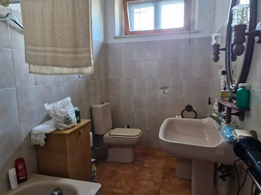 Immagine 26 di Casa colonica in vendita  a Campiglia Marittima