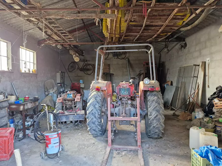 Immagine 21 di Casa colonica in vendita  a Campiglia Marittima