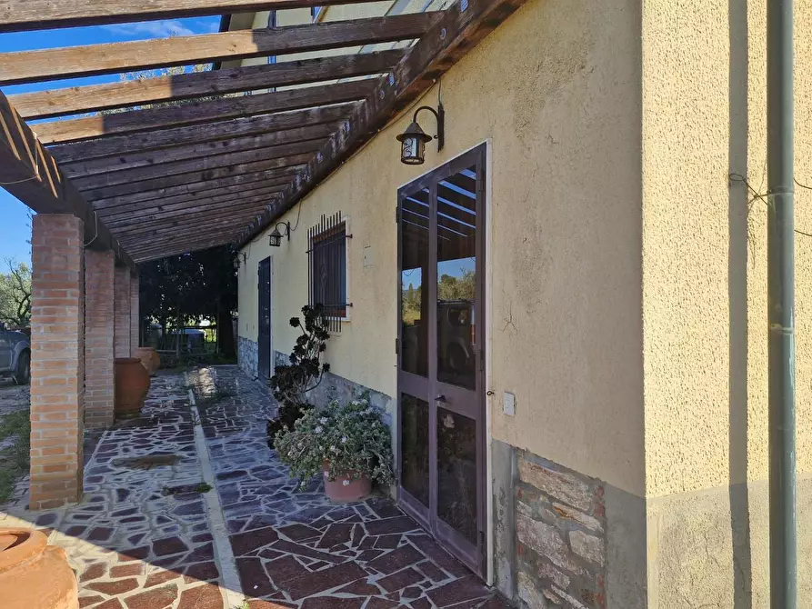 Immagine 74 di Casa colonica in vendita  a Campiglia Marittima