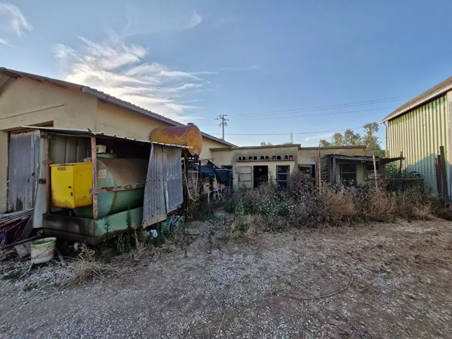 Immagine 16 di Casa colonica in vendita  a Campiglia Marittima
