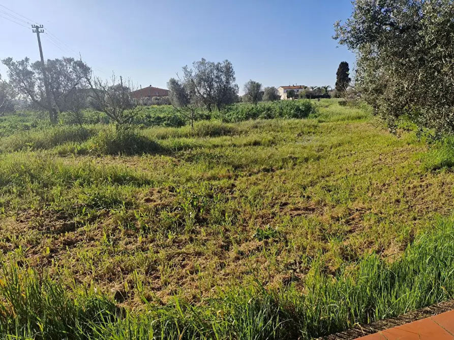 Immagine 59 di Casa colonica in vendita  a Campiglia Marittima