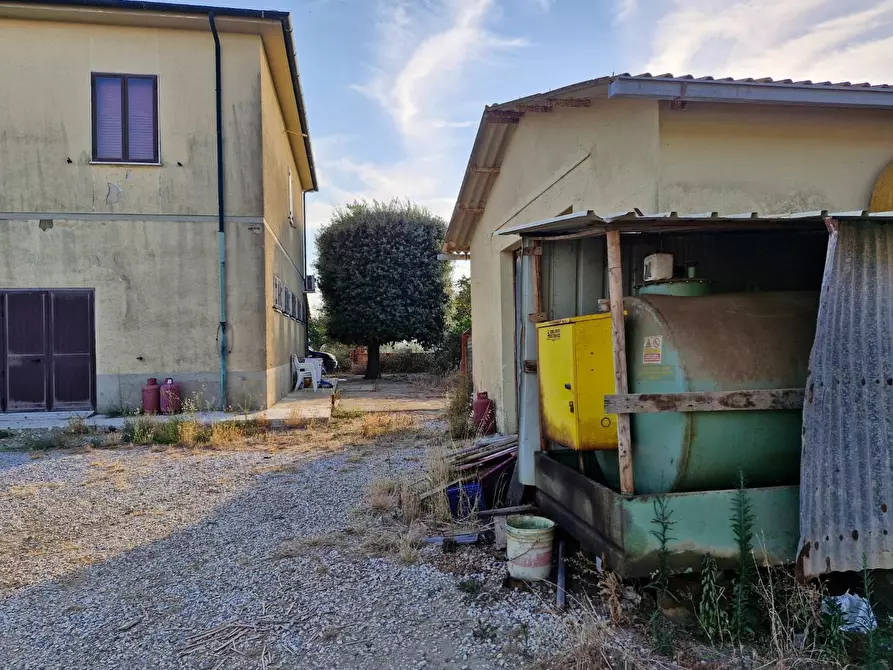 Immagine 19 di Casa colonica in vendita  a Campiglia Marittima